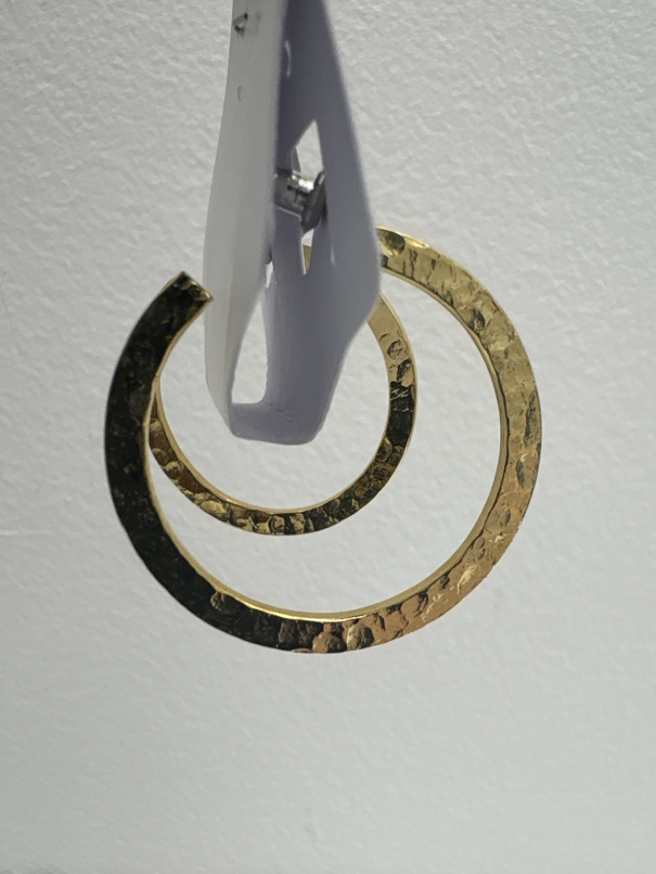 Jewelry earrings