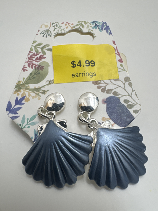 Jewelry earrings