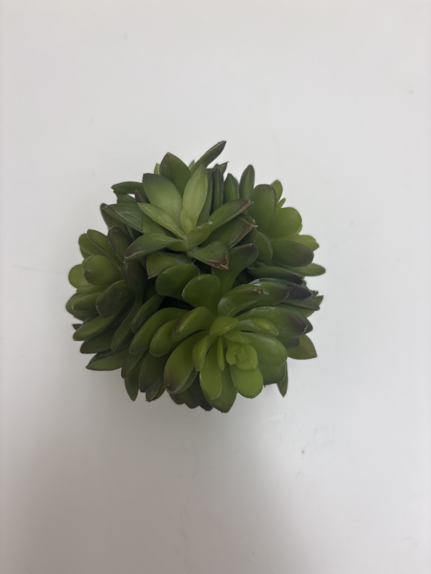 Decor faux succulents