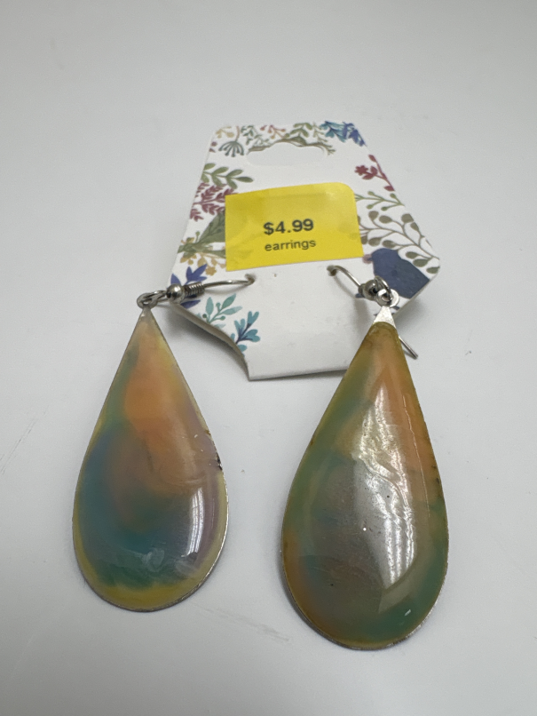 Jewelry earrings