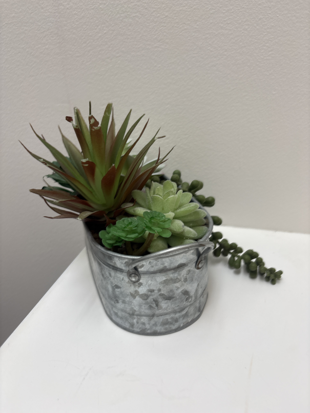 Decor faux succulents