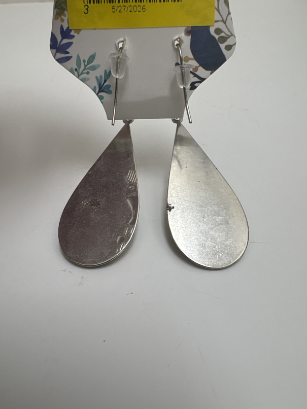 Jewelry earrings