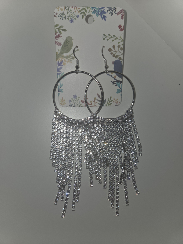 Jewelry earrings