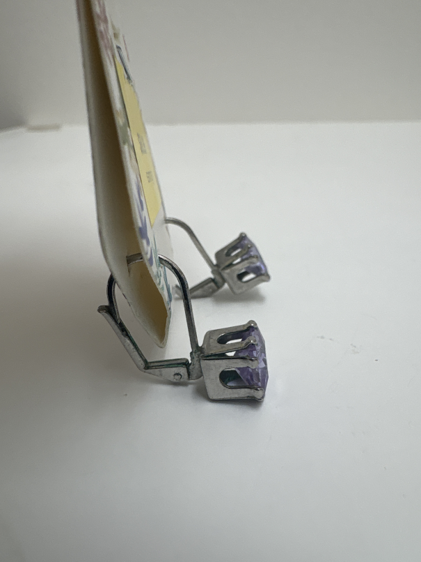Jewelry earrings