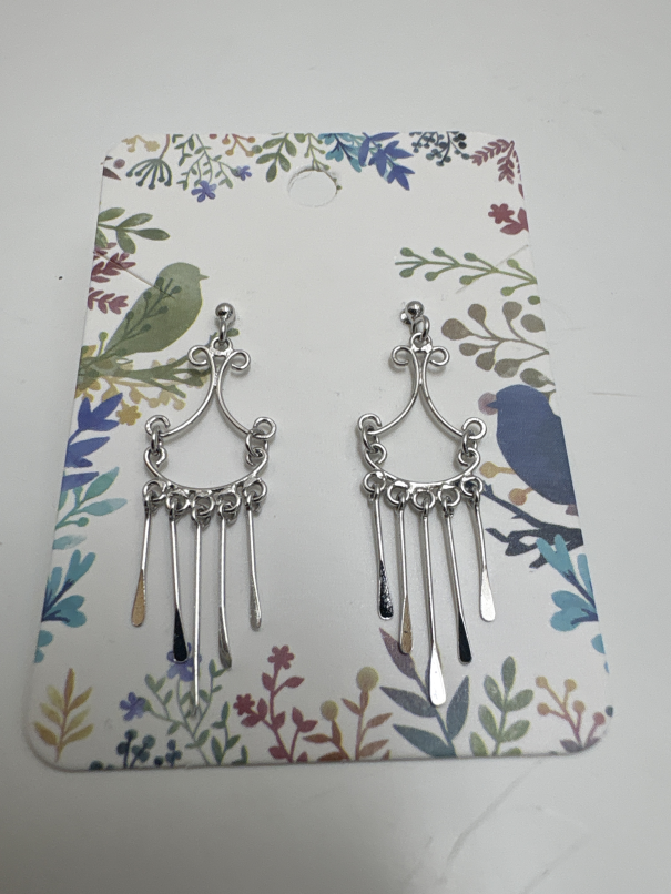 Jewelry earrings