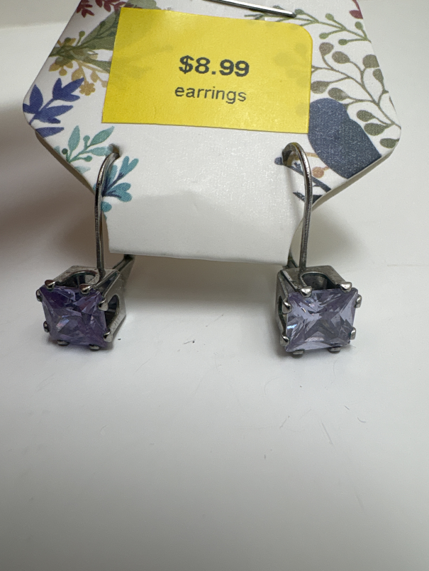 Jewelry earrings