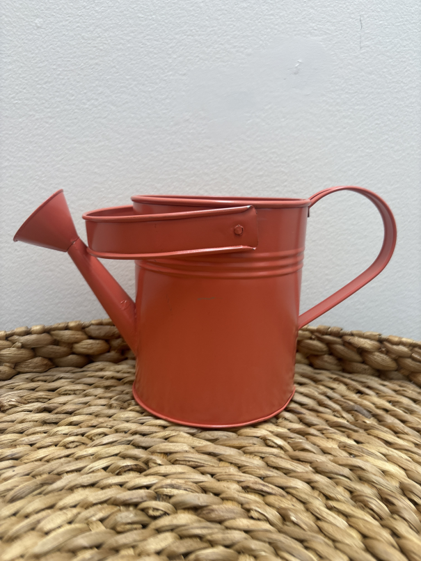 Seasonal watering pail