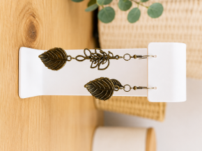 Jewelry earrings