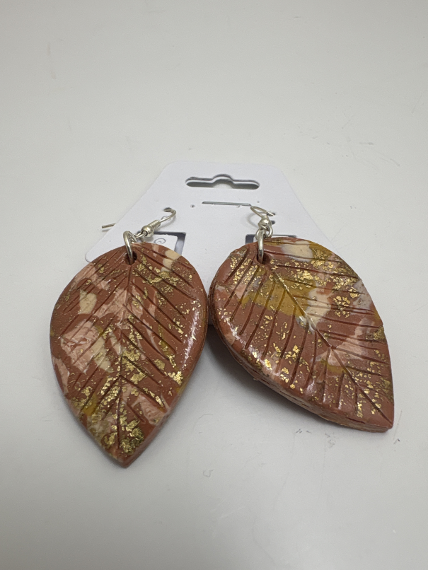 Jewelry earrings
