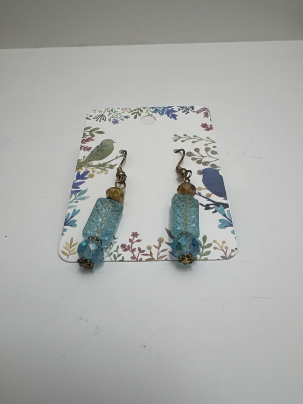 Jewelry earrings