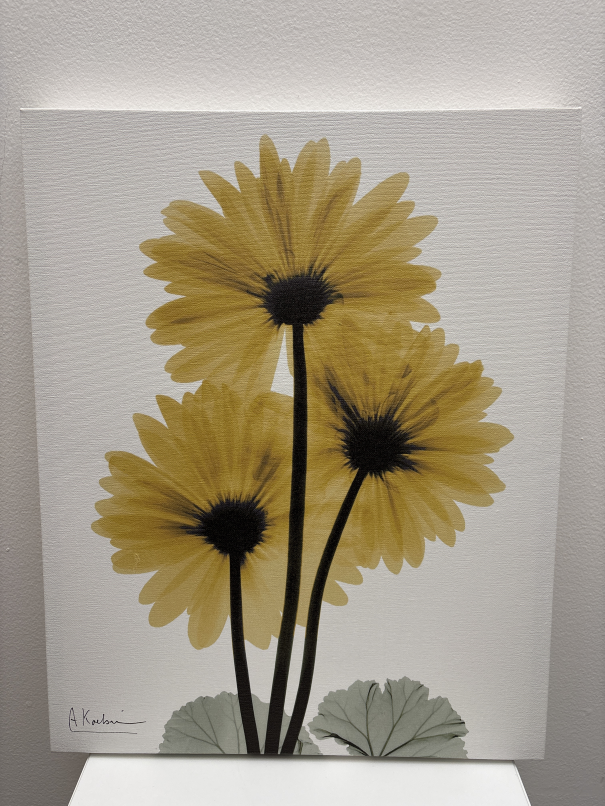 Wall Art canvas