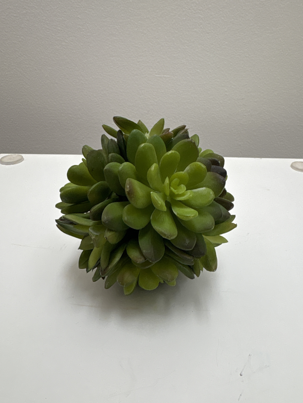 Decor faux succulents
