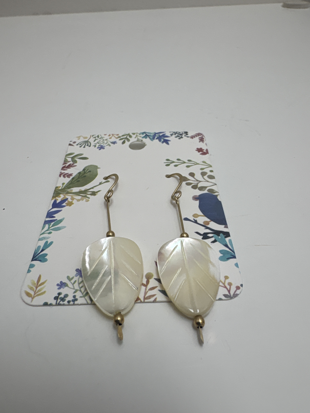 Jewelry earrings