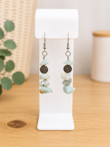 Jewelry earrings