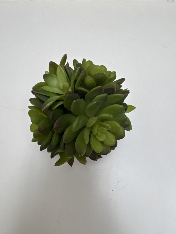 Decor faux succulents