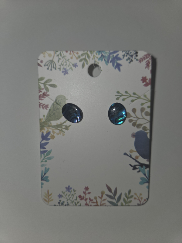 Jewelry earrings