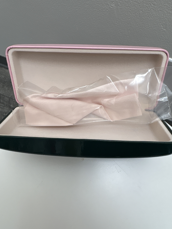 HBC sunglasses case