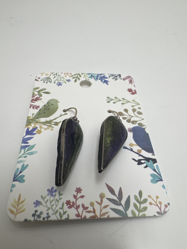 Jewelry earrings