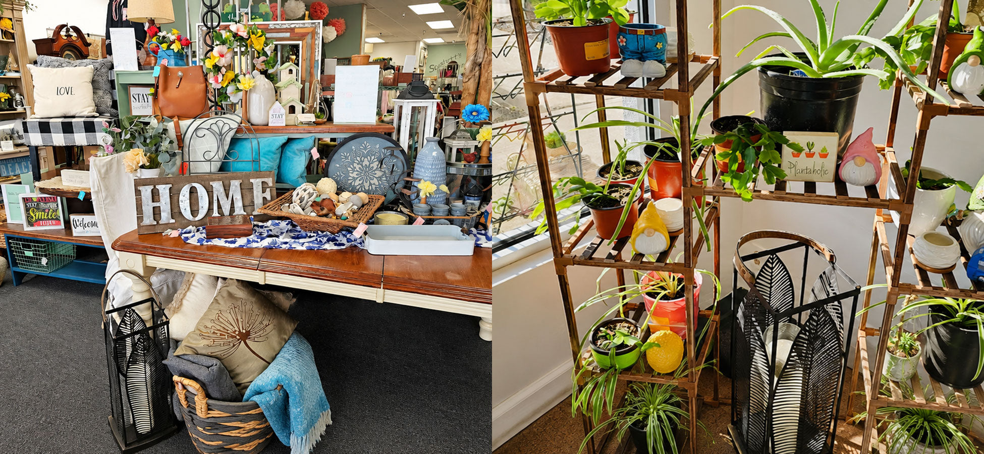 Home decor items on a table with 'HOME' sign, plant shelves with plants, and various home decor elements.