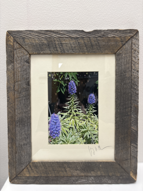 Handmade Framed Photos