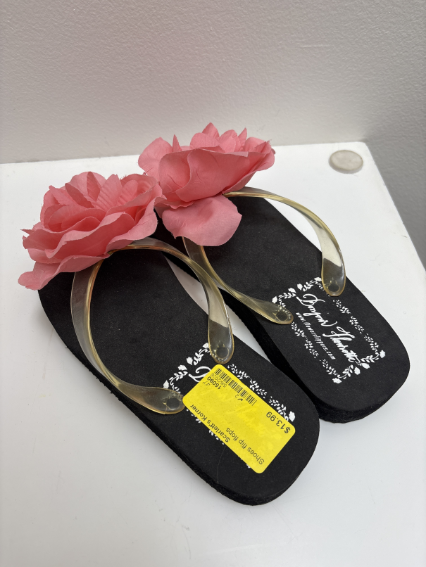 Shoes flip flops