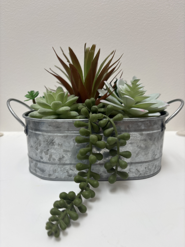 Decor faux succulents