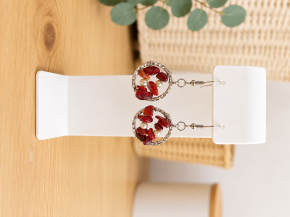 Jewelry earrings