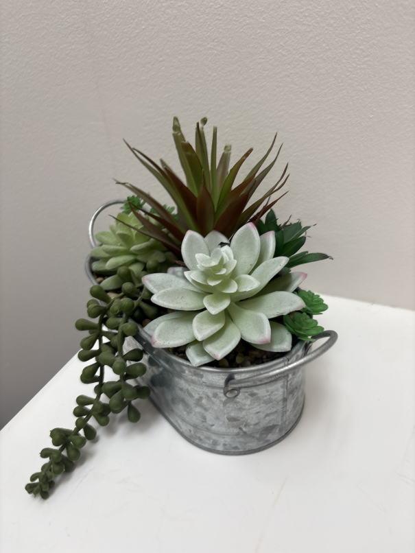 Decor faux succulents
