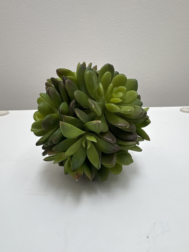 Decor faux succulents