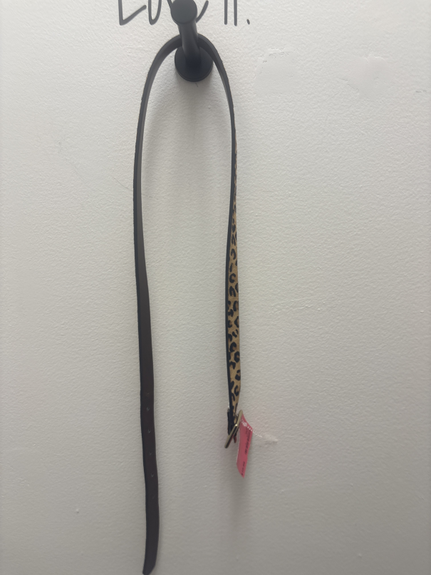 Women's Belt