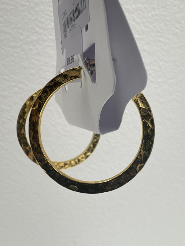 Jewelry earrings