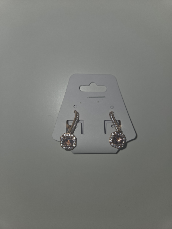 Jewelry earrings