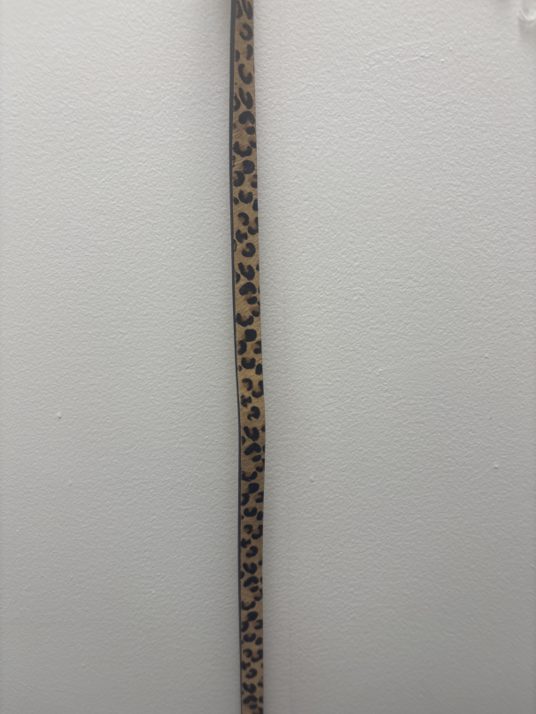 Women's Belt